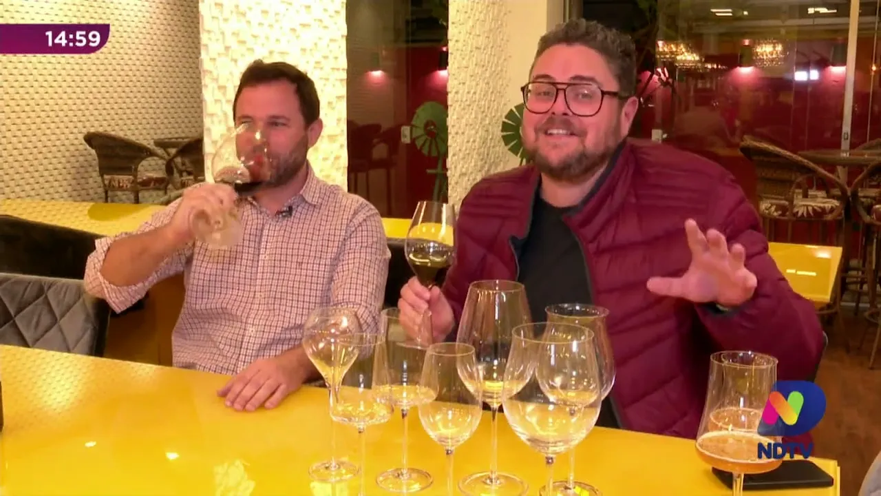 Inverno e vinhos: saiba a taça ideal para cada tipo de vinho