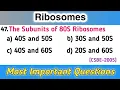Ribosomes - cell mcq questions