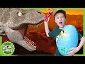 Download Lagu A Giant Dinosaur Surprise Egg Hunt at T-Rex Ranch with Park Ranger LB! Dinosaur Videos For Kids
