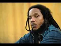 The Traffic Jam - Stephen Marley, Jr Gong, Buju
