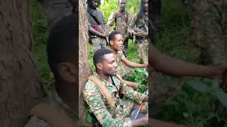 Poolisii Humna Addaa Oromiyaa Waamicha WBO Godheef Fudhachuu WBO Gujii Lixaati Dabalaman 