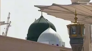 طيبه لزورها 