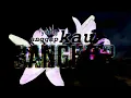 sound of monkey-Teman