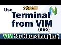 Set up Neovim and Use terminal VIM tutorial for Neuroimaging Bioinformatics part 5