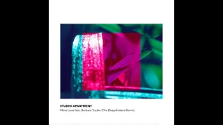 studio apartment barbara tucker more love the deepshakerz remix 