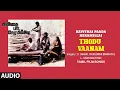 Download Lagu Thodu Vaanam Audio Song | Tamil Movie Kavithai Paada Neramillai | Raghuvaran | L Vaidyanathan