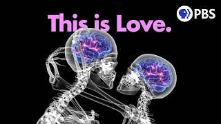 Scientists Finally Figured Out What Love Is For
