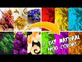 DIY Holi Fun Make Your Own Natural Gulal at Home