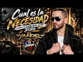 Yandel – Cuál Es La Necesidad | Clean Extended Intro/Outro 2026