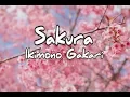 Download Lagu Sakura － Ikimono Gakari