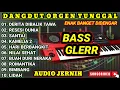 Download Lagu KOLEKSI LAGU RHOMA IRAMA PALING ASIK ENAK DIDENGAR