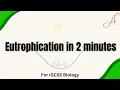 Eutrophication in 2 minutes IGCSE Biology