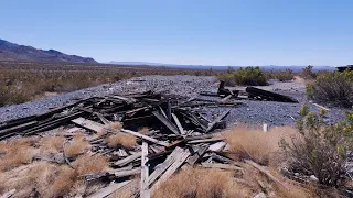 See What Was Found Living In This Abandoned Mine