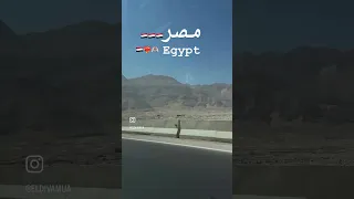 تحيه بقلوبنا و تعظيم سلام لمصر أم الدنيا   وسلاما على غزه و أهلها              دندنها