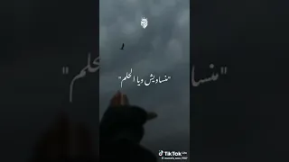 خلوني نعيش حياتي ناخد أنا راحتي  خلوني نعيش حياتي ناخد أنا راحتي