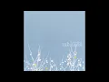 The Shins - New Slang