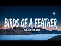 Billie Eilish - BIRDS OF A FEATHER (Lyrics)