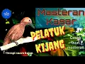 Download Lagu Masteran Tembakan kasar Pelatuk Kijang dengan terapi suara hujan.