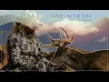Coues Hunting Mexico 650 YD SHOT 4K FILM - Coues In The Sun