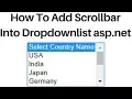 asp net dropdownlist display vertical scrollbar example