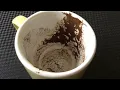 Download Lagu Libra September 22, 2025 Weekly Coffee Cup Reading by Cognitive Universe 