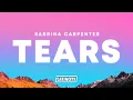 Download Lagu Sabrina Carpenter – Tears