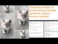 Introductory Stata 15 Create Dummy Variables generate replace recode tabulate