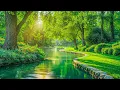 Download Lagu Musik Relaksasi Instrumen Indah Penyejuk Hati - Santai, Spa, Meditasi, Healing, Membaca, Belajar