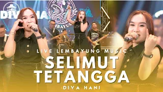 selimut tetangga diva hani live lembayung music 