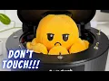 The Octopus Useless Box - A Battle You Can t Win
