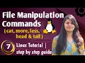 Cat more less head tail Commands Tutorial File Manipulation Commands in linux