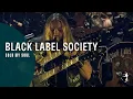 Download Lagu Black Label Society - Sold My Soul (Unblackened)