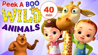Peek A Boo Learn Wild Animals Nursery Rhymes Collection Baby Ronnie Rhymes Songs For Kids 