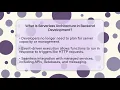 What Is Serverless Architecture in Backend Development Server Logic Simplified News