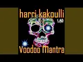 Download Lagu Voodoo Chant (Original Mix)