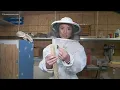 The murder hornet is not in Virginia yet but beekeepers are concerned