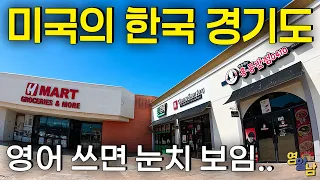 "영어 쓰면 눈치 보여요", 미국의 한국 경기도 마을 직접 가봤습니다
