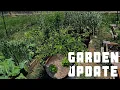 Late Spring 2021 Garden Update Spring Plants Preparing For The Summer Season