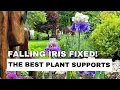 Download Lagu Quick Fix for Floppy Bearded Irises + My Go-To Plant Supports (For Irises \u0026 Peonies!)