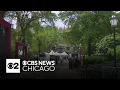 Faculty members defend UChicago students who are having diplomas withheld