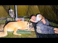 Lagu Caught in Thunderstorm With My Dog! - Hot Tent Camping in Heavy Rain All Day!