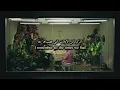 Offset & John Legend - Never Let Go مترجمة 