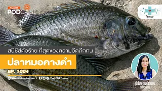 ทำไมการจัดการปัญหาปลาหมอคางดำจึงต้องเป็นวาระแห่งชาติ