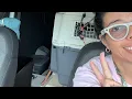 New Hampshire dog and cat rescue transport