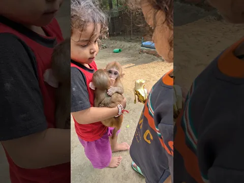 मां के बिना जीवन अधूरा है 😥