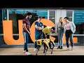 UCL Robotics and Artificial Intelligence MEng - Full version