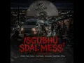 Isgubhu sdali'mess (feat. Niseni, Madanon, Tyronic Situation, Teezy Melowest, Anathii Deejay &...