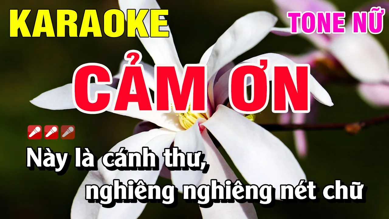 Karaoke Cảm Ơn Tone Nữ Nhạc Sống | Hoàng Luân