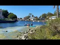 Crystal River Is Florida s Hidden Paradise