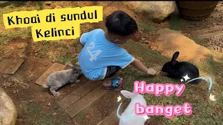 Khoai di gigit Domba di Sundul kelinci